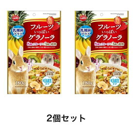 【2個まとめ買い】マルカン うさぎ元気 フルーツいっぱいグラノーラ 180g