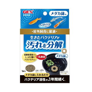 WFbNX GEX xXgoCIubN _Jp