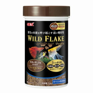 piGEXCht[NvoCI52g Mыpt[Nt[h EFgEPʋ۔z