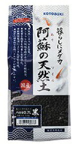 Mы@piMыp@RguL@炵Ƀ_J@h̓VRy@0.7L