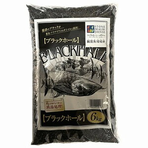 yXg[fB[[VZ[zubNz[@6kgϏ܋p@ꏰ֘Ai