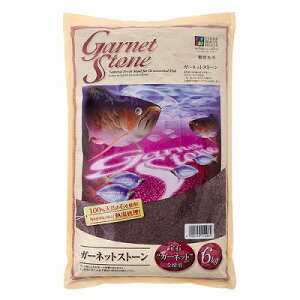 yXg[fB[[VZ[zK[lbgXg[@6kgϏ܋p@ꏰ֘Ai