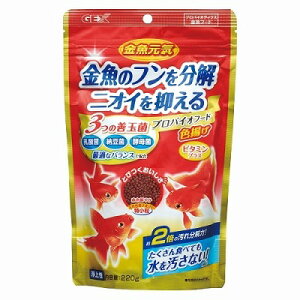 piC voCIt[hFg220gMыpt[h