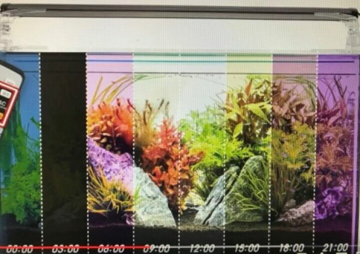 楽天市場】【観賞魚水槽用LEDライト】コトブキ LEDライト レイマックス 