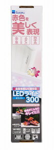 @LEDCg 300 zCg