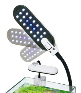 yϏ܋pCgzRguLH|@LEDCgGRX|bgt[36