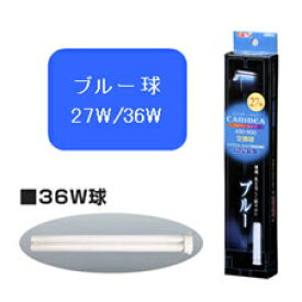 楽天市場 クリアライトカリビア Gexの通販