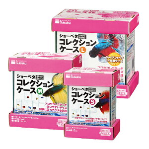 【suisaku】ショーベタ コレクションケースL