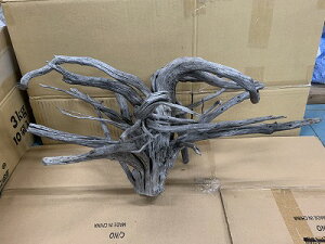 ANAFlCiIy؁zu`Ebh@6Ԑ_˓X݌ɕi