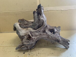 ANAFlCiIy؁zz[Ebh@17Ԑ_˓X݌ɕi