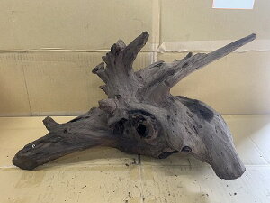 ANAFlCiIy؁zz[Ebh@19Ԑ_˓X݌ɕi