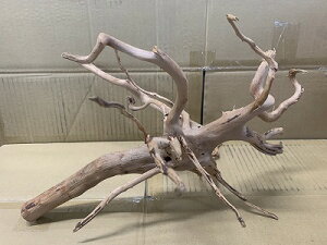 ANAFlCiIy؁zu`Ebh@MTCY@2Ԑ_˓X݌ɕi