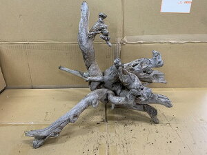 ANAFlCiIy؁zz[Ebh@21Ԑ_˓X݌ɕi