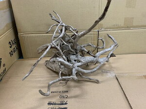 ANAFlCiIy؁zzCgu`Ebh@1Ԑ_˓X݌ɕi