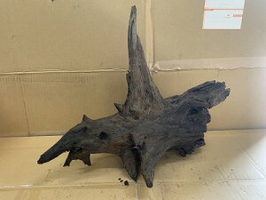 ANAFlCiIy؁zz[Ebh@12Ԑ_˓X݌ɕi