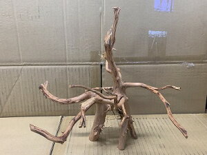 ANAFlCiIy؁zu`Ebh@MTCY@3Ԑ_˓X݌ɕi