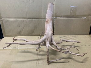 ANAFlCiIy؁zu`Ebh@MTCY@4Ԑ_˓X݌ɕi