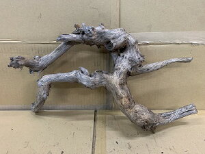 ANAFlCiIy؁zz[Ebh@23Ԑ_˓X݌ɕi