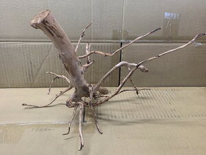 ANAFlCiIy؁zu`Ebh@MTCY@5Ԑ_˓X݌ɕi