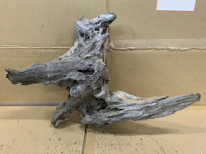 ANAFlCiIy؁zz[Ebh@24Ԑ_˓X݌ɕi