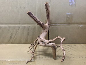 ANAFlCiIy؁zu`Ebh@MTCY@6Ԑ_˓X݌ɕi