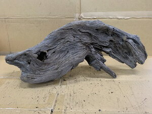 ANAFlCiIy؁zz[Ebh@25Ԑ_˓X݌ɕi