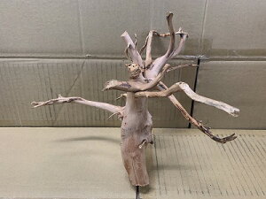 ANAFlCiIy؁zu`Ebh@MTCY@7Ԑ_˓X݌ɕi