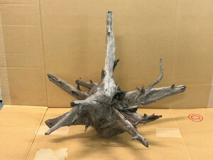 アクアF人気商品!【流木】ブラックホーン Lサイズ 2番 高級変わり流木神戸店在庫品