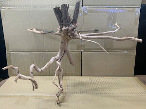 ANAFlCiIy؁zu`Ebh@MTCY@8Ԑ_˓X݌ɕi