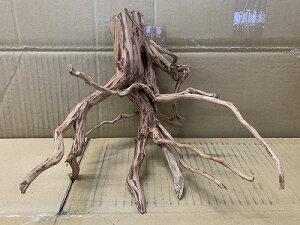 ANAFlCiIy؁zu`Ebh@MTCY@9Ԑ_˓X݌ɕi