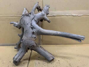 ANAFlCiIy؁zz[Ebh@28Ԑ_˓X݌ɕi