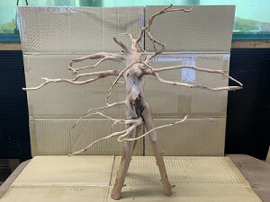 ANAFlCiIy؁zu`Ebh@LTCY@1Ԑ_˓X݌ɕi