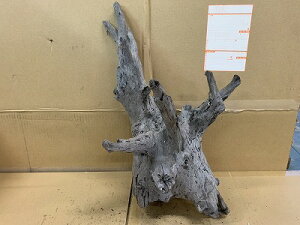 アクアF人気商品!【流木】ホーンウッド 30番神戸店在庫品