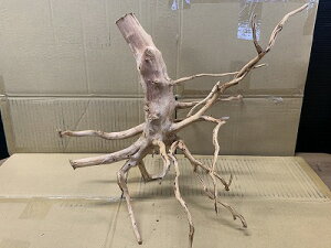 ANAFlCiIy؁zu`Ebh@LTCY@2Ԑ_˓X݌ɕi