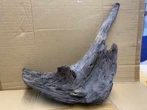 ANAFlCiIy؁zz[Ebh@31Ԑ_˓X݌ɕi