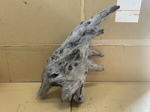 ANAFlCiIy؁zz[Ebh@13Ԑ_˓X݌ɕi