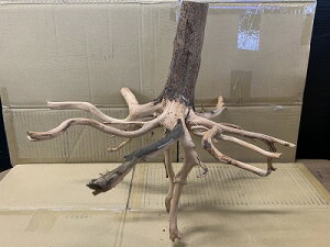 ANAFlCiIy؁zu`Ebh@LTCY@3Ԑ_˓X݌ɕi