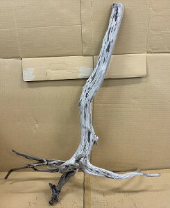 ANAFlCiIy؁zVR嗬؁@1Ԑ_˓X݌ɕi