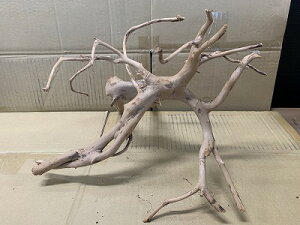 ANAFlCiIy؁zu`Ebh@LTCY@4Ԑ_˓X݌ɕi