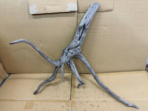 ANAFlCiIy؁zVR嗬؁@3Ԑ_˓X݌ɕi