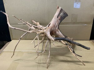 ANAFlCiIy؁zu`Ebh@LTCY@7Ԑ_˓X݌ɕi