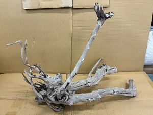 ANAFlCiIy؁zVR嗬؁@5Ԑ_˓X݌ɕi