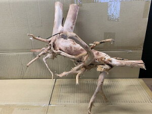 ANAFlCiIy؁zu`Ebh@LTCY@8Ԑ_˓X݌ɕi