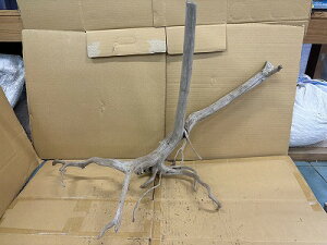 ANAFlCiIy؁zVR嗬؁@6Ԑ_˓X݌ɕi