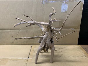 ANAFlCiIy؁zu`Ebh@LTCY@10Ԑ_˓X݌ɕi