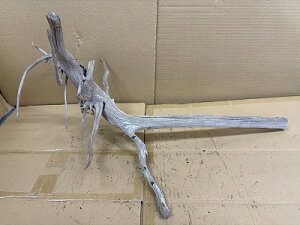 ANAFlCiIy؁zVR嗬؁@8Ԑ_˓X݌ɕi