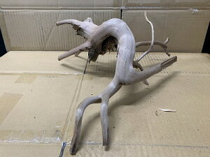 アクアF人気商品!【流木】ブランチウッド Lサイズ 11番神戸店在庫品