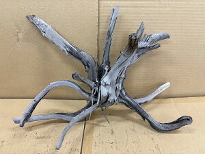 ANAFlCiIy؁zVR嗬؁@9Ԑ_˓X݌ɕi