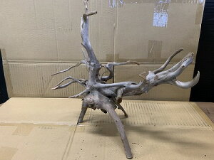 ANAFlCiIy؁zu`Ebh@LTCY@12Ԑ_˓X݌ɕi