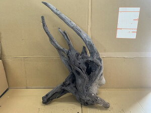 ANAFlCiIy؁zz[Ebh@14Ԑ_˓X݌ɕi